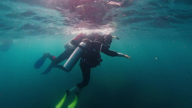 Diving in Brazil. Two scuba divers swim underwater over the rocky bottom and explore the local dive site. Xavier island near Santa Catarina island, Florianopolis Generative AI