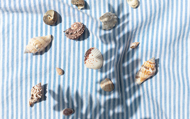 Different kinds of seashells with palm leaves shadows on the blue striped fabric background top view	