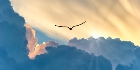 Bird Flying Sunset Clouds Inspiration Hope Banner