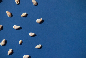 Seashells on the blue background seamless pattern flat lat. Top view. Copy space