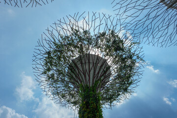 Garden by the bay at Singapore city.
