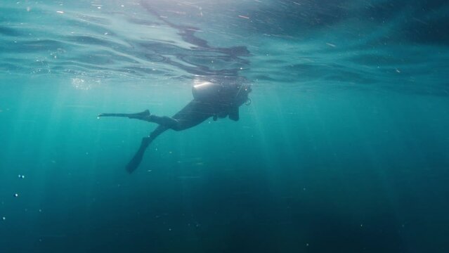 Diving in Brazil. Scuba diver swims underwater near the surface. Xavier island near Santa Catarina island, Florianopolis Generative AI