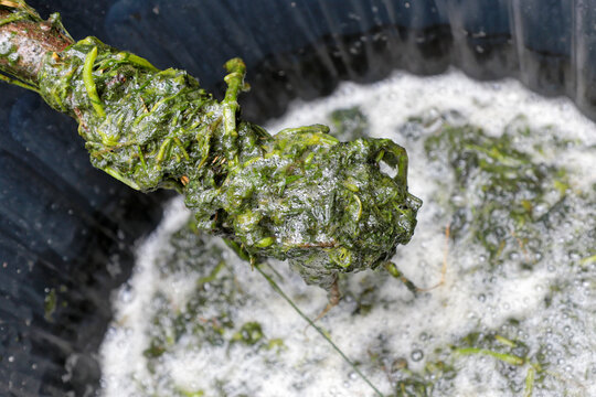 jardin de mr christian quintin