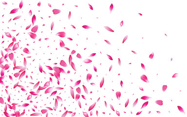 Transparent Apple Petal Vector White Background.