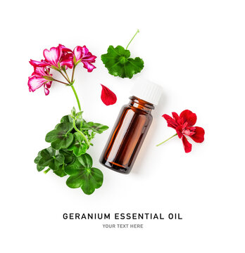 Geranium essential oil in bottle, fresh flowers and leaves isolated on white background.