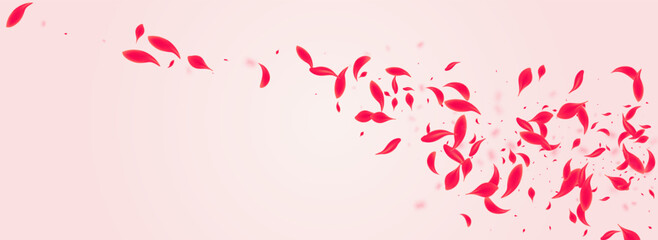 Ruby Cherry Vector Pink Panoramic Background.