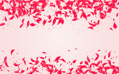 Obraz premium Coral Cherry Vector Pink Background. Japan Lotus
