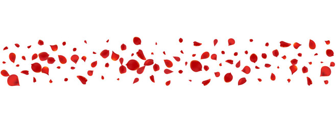 Obraz premium Beautiful Blossom Japan Vector Panoramic White