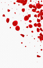 Beautiful Lotus Fall Vector Transparent