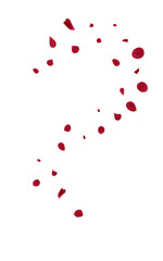 Beautiful Flower Japan Vector White Background.