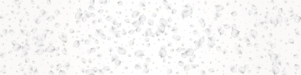 Snowy Sakura Vector Light Panoramic Background.