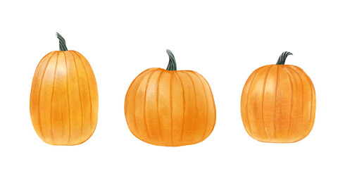 Hand drawn watercolor set of orange pumpkin elements isolated. Autumn, thanksgiving, Halloween concept celebration. Healthy vegetarian food. 