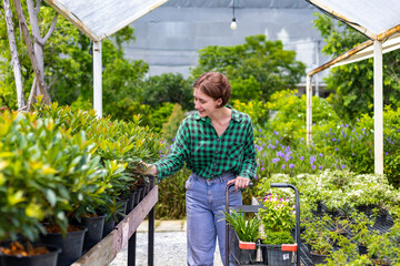 Young caucasian customer is choosing exotic plant from the local garden center nursery with shopping cart full of summer plant for weekend gardening and outdoor concept