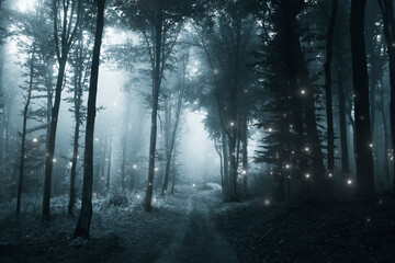 Fototapeta na wymiar fantasy forest road with magical lights at night