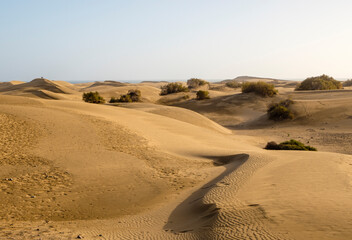 Fototapeta na wymiar Dünen am Strand von Maspalomas, Gran Canaria, Kanarische Inseln, Spanien