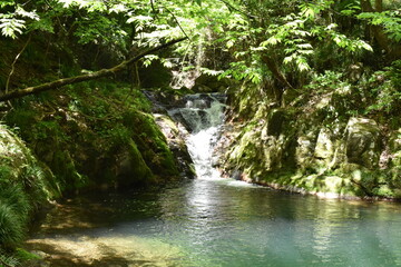 Naklejka premium 不動滝