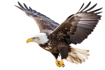 Foto op Canvas Bald eagle flying isolated on white, transparent background, PNG, generative ai © HappyTime 17