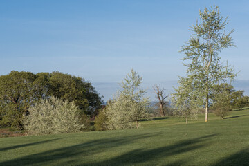 Cowdray golf coarse, West Sussex, Uk, May 2023
