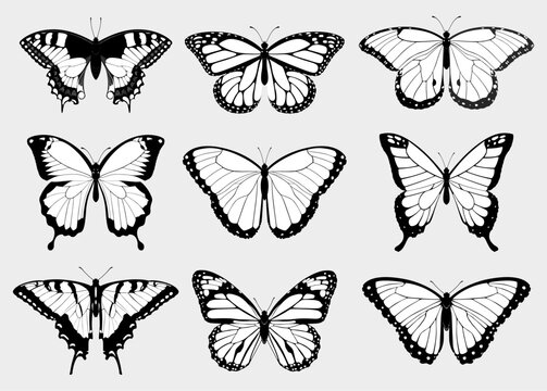 Isolated vector collection of top view black and white butterfly silhouettes
