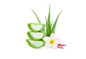 Closeup  aloe vera cube gel in wooden isolated on white background, Skin care and spa beauty concept