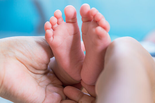 baby feet,Baby feet in hands, mother, mother and her baby, happy family concept, beautiful conception image of childbirth.