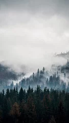 Foto op Plexiglas Mistig bos Tatry park narodowy, góry w chmurach mgle, krajobraz gór mountain