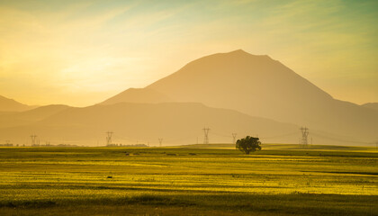 Farmland at the base of the mountain at sunset. Single tree in the field and its silhouette