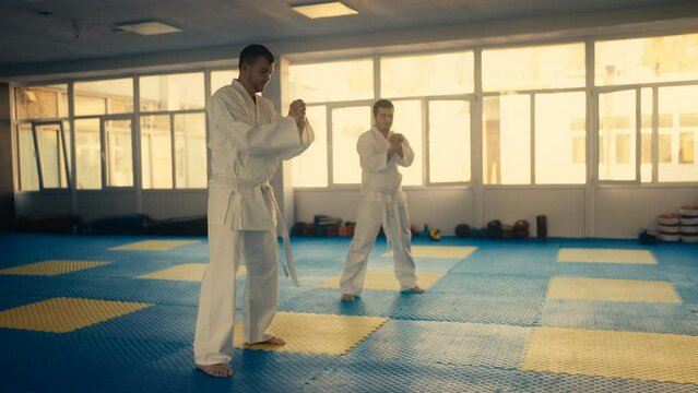 Two taekwondo practitioners warming up before sparring in gym, combat sport