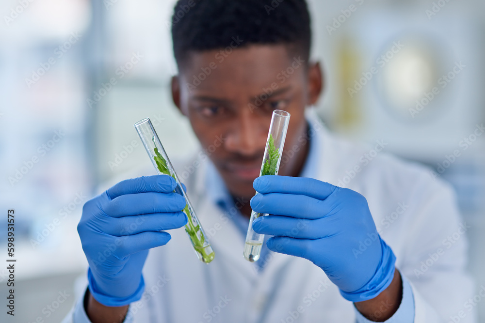 Aufkleber It looks like there is a difference. a focused young male scientist holding two test tubes with tiny plants inside of them while about to conduct experiments inside of a laboratory.