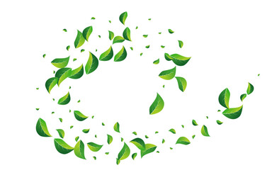 Olive Leaves Abstract Vector White Background.