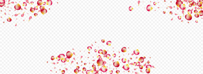 Red Floral Flying Vector Panoramic Transparent