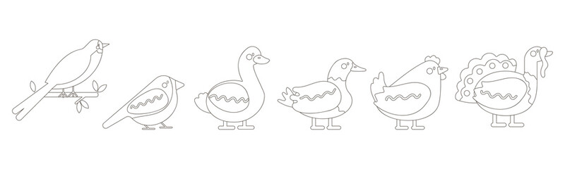 outline vector set with birds swallow, sparrow, goose, duck, turkey, chicken,