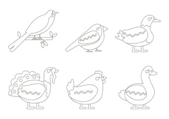outline vector set with birds swallow, sparrow, goose, duck, turkey, chicken