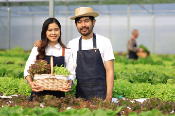 Happy couple farmers working on hydroponics farm, small family business. Farmers are checking the quality of vegetables before they are harvested.