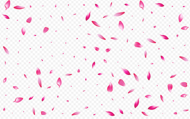 Fototapeta na wymiar White Rosa Vector Transparent Background. Bloom