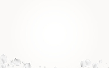 Delicate Floral Vector Light Background. Snowy