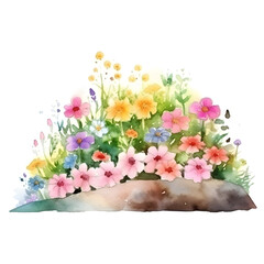 Garden flower bed, rosarium. Landscape design. Hand drawn watercolor illustration, isolated on white background
