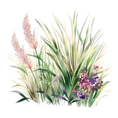 Set of botanical illustrations. Garden beds and grass, wild flowers on a white background. set for landscape design.
