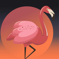 illustration of a pink flamingo