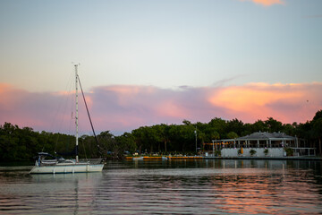 boats in the harbor