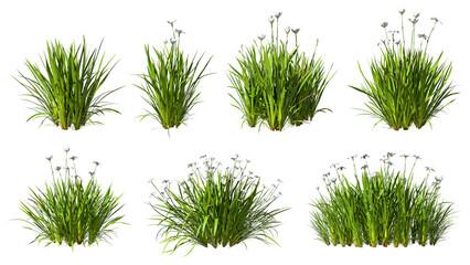 Grass meadow flowery shapes cut out 3d rendering png - obrazy, fototapety, plakaty