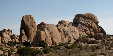 Joshua Tree NP, California, USA - December 1, 2021:  Rock formations, giant bouders and iiconic Joshua Tree forests attract outdoor enthusists from around the world.