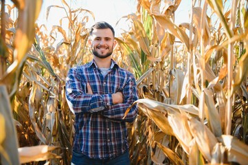 A young agronomist inspects the quality of the corn crop on agricultural land. Farmer in a corn...
