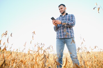 Farmer or agronomist inspecting soybean field.