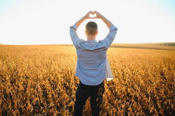Man stand alone in middle of field. Holding hands up and fingers in heart shape. Harvest time in late summer or early autumn. Farmer agronomist.