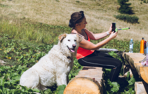Big white  dog akbash guards a female tourist in a friendly way