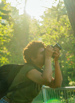 Young black African American woman photojournalist with dark curly hair taking pictures in a green park at sunset with the setting sun behind her adjusting the focus ring of the photo camera