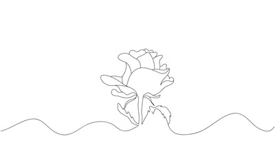 rose flower line art style vector eps 10