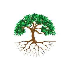 rooted tree logo design. banyan tree with circular shape