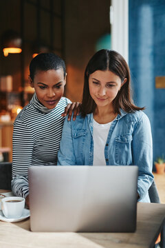 Two female entrepreneurs working online together at a cafe counter